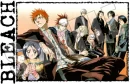 bleach