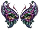 butterfly