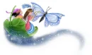 butterfly