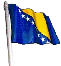Bosnia flag