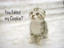 YouEatedMyCookie?