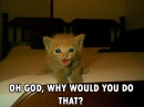 WhyWouldYou