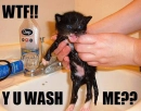 YUWashMe?