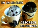 InURCupz