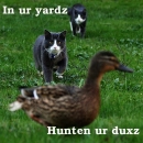 HuntinURDux