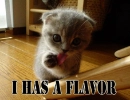 Flavor
