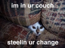 inurcouch
