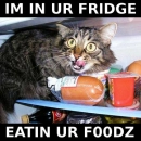 inurfridge