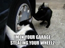 garage