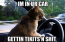 inurcat