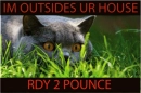 outside