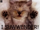 suwwender