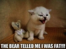 bear