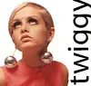 twiggy