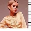 twiggy