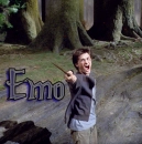 Harry Emo
