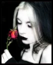 Dying Rose