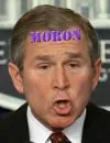 BUSH SUX