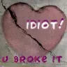 idiot! u broke it