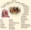 Native American Tribes