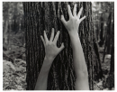hands