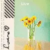 live,love,laugh
