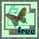 fly free