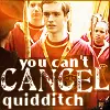 you  can't cancel quidditch