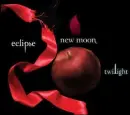 Twilight New Moon Eclipse