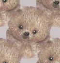 oso