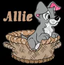 allie