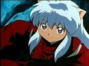 awwwwwwww cute inuyasha