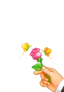 a rose for you