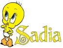 tweety Sadia