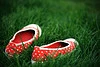 Pink Shoes