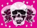 Pink Skulls