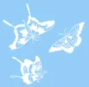 butterflies 