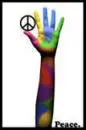 hippie