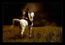 Rider