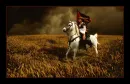 The Flag