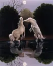 White Horses