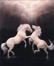 White Horses