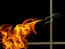 Dragon Fire