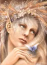 Elf butterfly