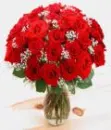 My fav flowers