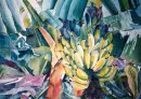 Bananas