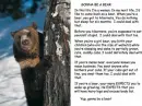 Gonna be a bear