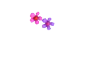 flower heart