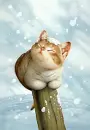 Kitty in the Snow