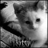 Kitty